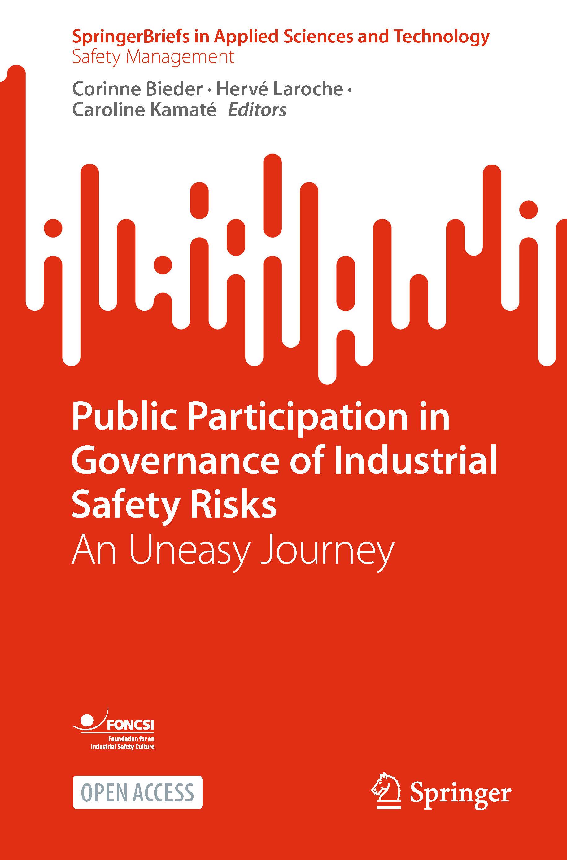 Springer Public Participation Safety